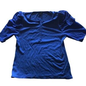 Ann Taylor Loft short sleeved blue princess sleeve top. EUC.